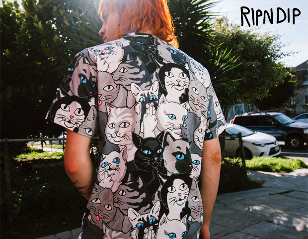 RIP N DIP