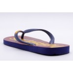 Havaianas Top Logomania 2 Fc Σαγιονάρες (4145741 0555)