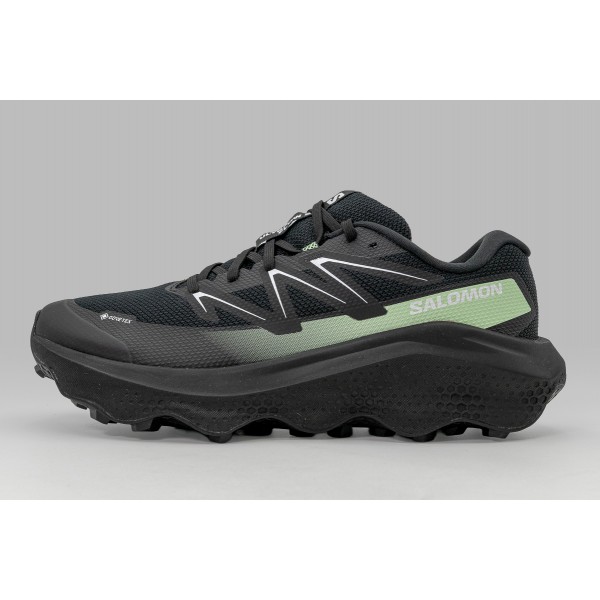 Salomon Ultra Flow 2 Gore-Tex Παπούτσια Trail Running (479814)
