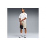 Puma Evostripe Ανδρική Αθλητική Βερμούδα Γκρι