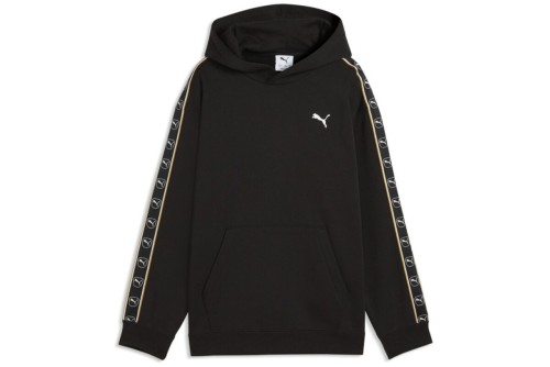 Puma Essentials Elevated Tape Hoodie (695970 01)