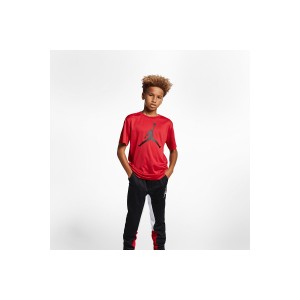 Jordan Dri-Fit Jumpman Logo T-Shirt (954293 R78)