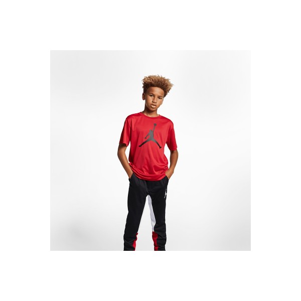 Jordan Jumpman Dri-Fit T-Shirt (954293 R78)