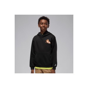 Jordan Air Jordan Has Landed Hoodie (95F281 023)