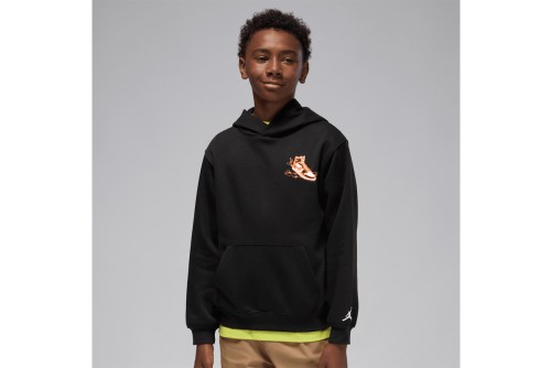 Jordan Air Jordan Has Landed Hoodie (95F281 023)