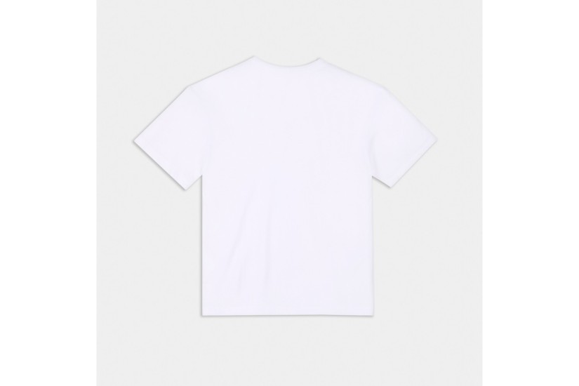 AntetokounBros Ανδρικό Κοντομάνικο T-Shirt Λευκό