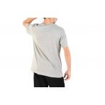 Nike Ανδρικό Κοντομάνικο T-Shirt Γκρι (AR4997 064)