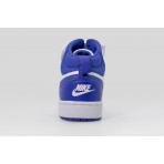 Nike Court Borough Mid 2 Sneakers Λευκά, Ρουά