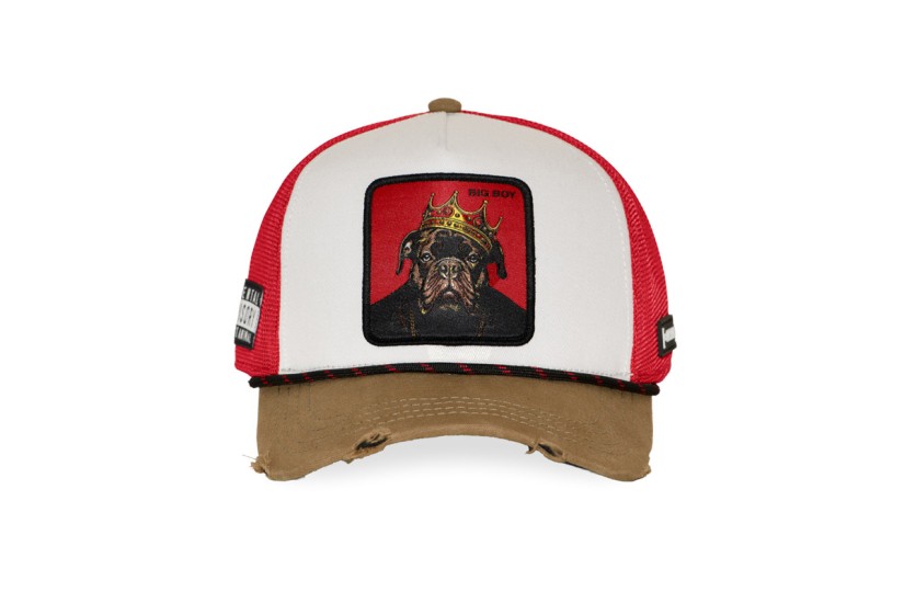 Capslab Trucker Καπέλο Snapback Κόκκινο, Λευκό, Καφέ