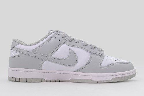 Nike Dunk Low Retro Sneakers (DD1391 103)