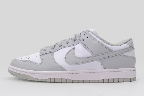 Nike Dunk Low Retro Sneakers (DD1391 103)