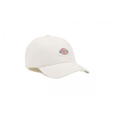 Dickies Hardwick Καπέλο Snapback (DK0A4TKVC581)