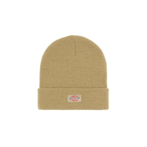 Dickies Gibsland Σκουφάκι Χειμερινό (DK0A4X7K0IP1)