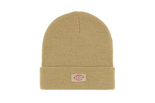 Dickies Gibsland Σκουφάκι Χειμερινό (DK0A4X7K0IP1)