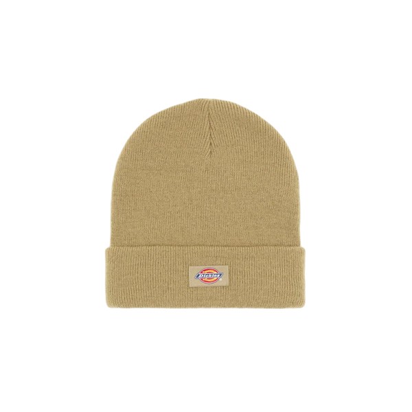 Dickies Gibsland Σκουφάκι Χειμερινό (DK0A4X7K0IP1)
