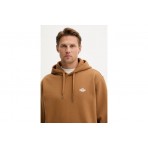 Dickies Summerdale Ανδρικό Φούτερ με Κουκούλα Καφέ