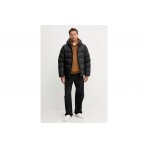 Dickies Summerdale Ανδρικό Φούτερ με Κουκούλα Καφέ