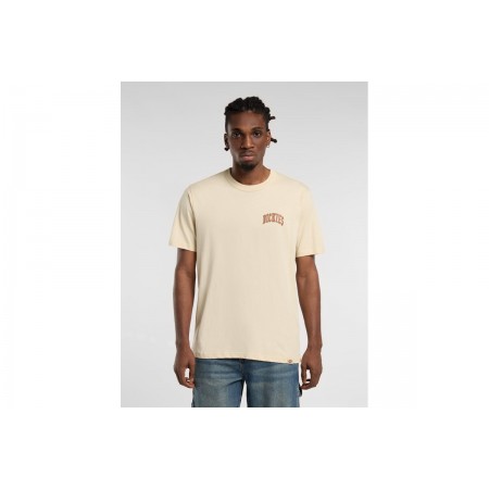 Dickies Sneedville Ανδρικό Κοντομάνικο T-Shirt Μπεζ