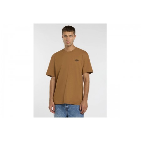 Dickies Summerdale Ανδρικό Κοντομάνικο T-Shirt Καφέ