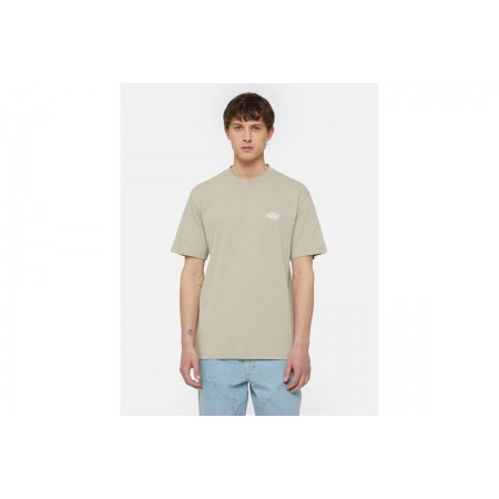 Dickies Summerdale T-Shirt Ανδρικό 