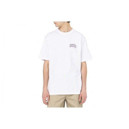Dickies Aitkin Chest Tee Ss T-Shirt Ανδρικό 