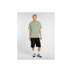 Dickies Snake Ανδρικό Κοντομάνικο T-Shirt Φυστικί