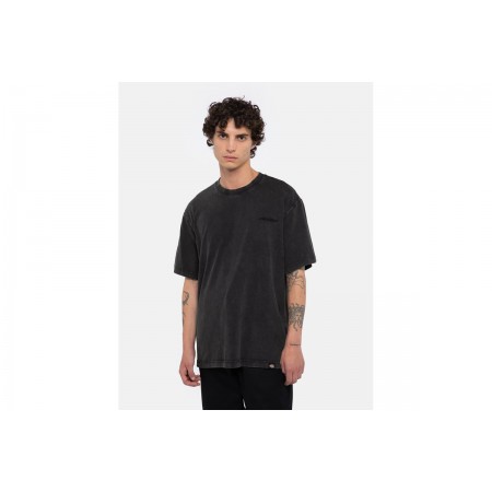 Dickies Plentywood Ss T-Shirt Ανδρικό 