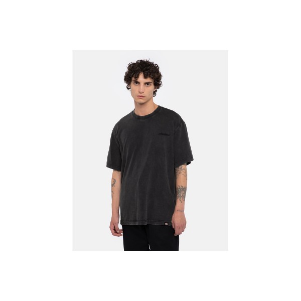 Dickies Plentywood Ss T-Shirt Ανδρικό (DK0A866BH861)