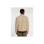 Dickies Painter Canvas Ανδρικό Ελαφρύ Μπουφάν Μπεζ