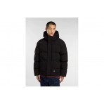 Dickies Eagleville Hooded Ανδρικό Μπουφάν Puffer με Κουκούλα Μαύρο