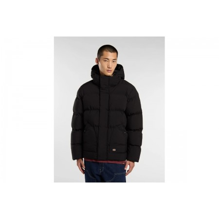 Dickies Eagleville Hooded Ανδρικό Μπουφάν Puffer με Κουκούλα Μαύρο