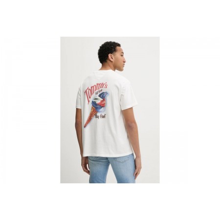 Tommy Jeans Rlx Novelty 2 Gmd T-Shirt Ανδρικό 