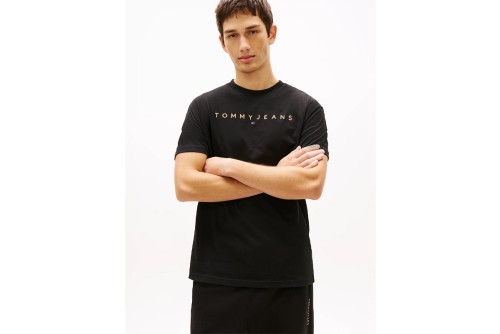 Tommy Jeans Linear Logo Embroidery Jersey T-Shirt Ανδρικό (DM0DM20744 SEV)