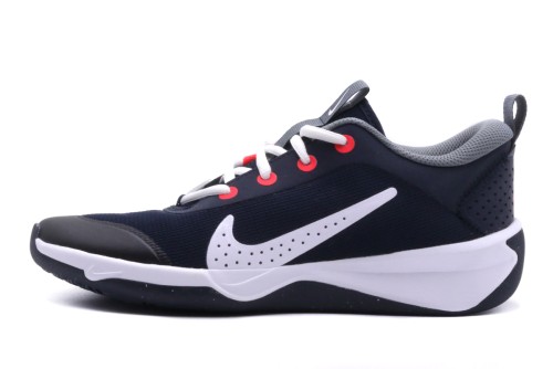 Nike Omni Multi-Court Gs Παπούτσια Για Μπάσκετ (DM9027 402)
