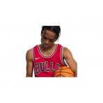 Nike Nba Chicago Bulls Icon Edition Φανέλα Ομάδας (DN2131 657)