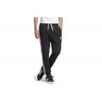 Adidas Originals Trefoil Pants (DV2872)