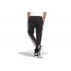 Adidas Originals Trefoil Pants (DV2872)