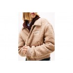 Tommy Jeans Varsity Teddy Back Logo Μπουφάν Bomber Γυναικείο (DW0DW21666 GUQ)