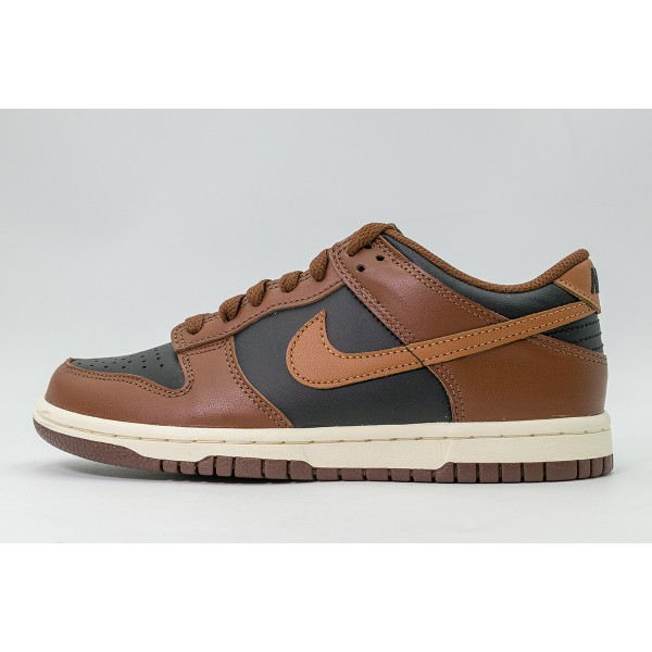 Nike Dunk Low Sneakers (FB9109 006)