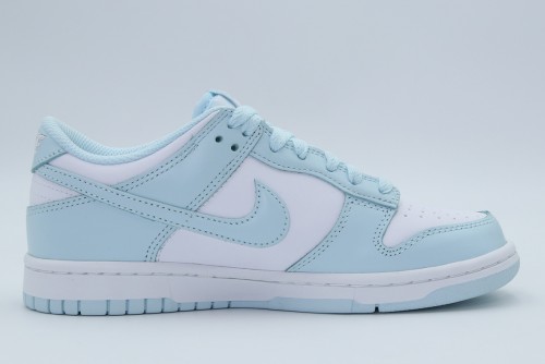 Nike Dunk Low Sneakers (FB9109 105)