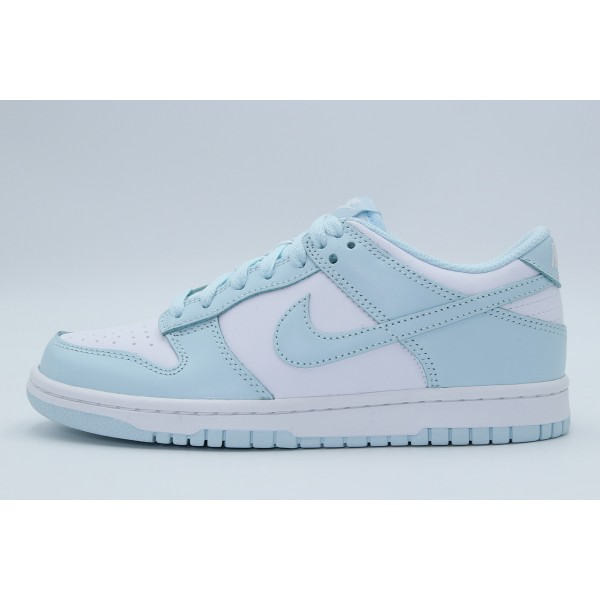 Nike Dunk Low Sneakers (FB9109 105)