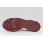Nike Dunk Low Sneakers (FB9109 115)
