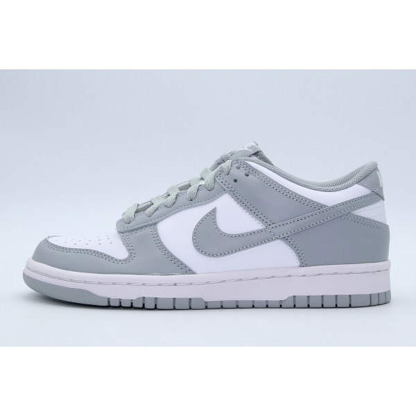 Nike Dunk Low Sneakers (FB9109 123)