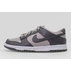 Nike Dunk Low Sneakers (FB9109 203)