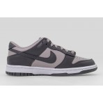 Nike Dunk Low Sneakers (FB9109 203)