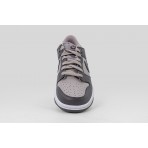 Nike Dunk Low Sneakers (FB9109 203)