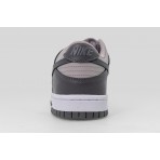 Nike Dunk Low Sneakers (FB9109 203)