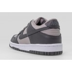 Nike Dunk Low Sneakers (FB9109 203)