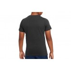 Nike T-Shirt (FD1201 070)