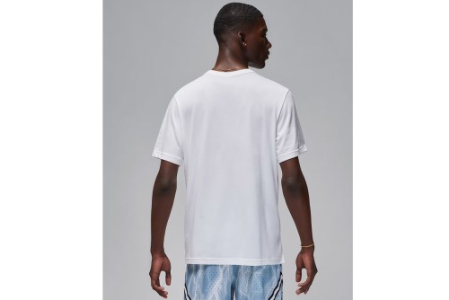 Jordan Sport Dri-Fit T-Shirt Ανδρικό (FN5829 100)